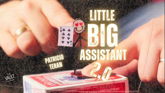 The Vault - Little Big Assistant 2 by Patricio Teran video DOWNLOAD - Piper Magic